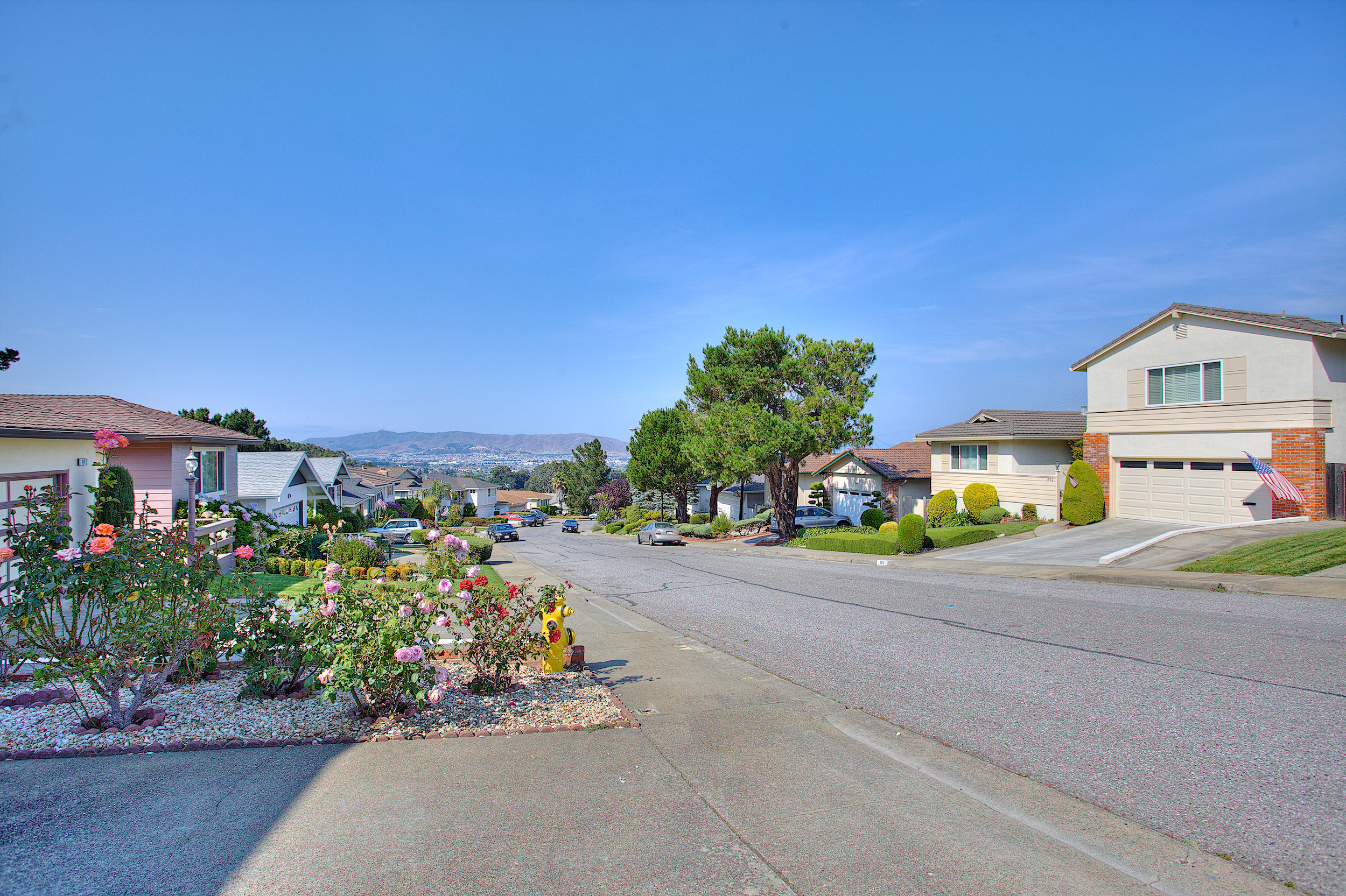 Glenview Highlands Millbrae front yard flowers and rocks as ground cover